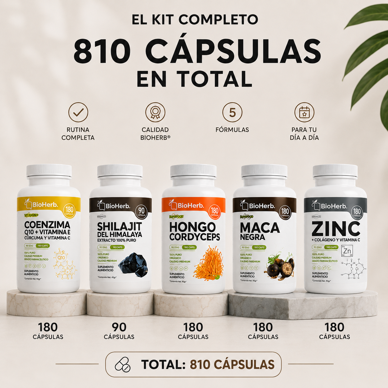 Kit Hombre BioHerb® | Energía, Vitalidad y Rendimiento