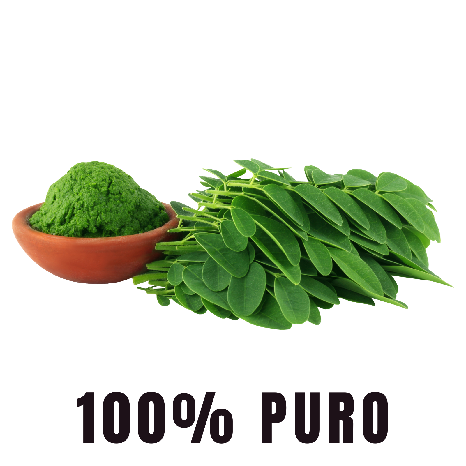 BioHerb® Moringa Orgánica