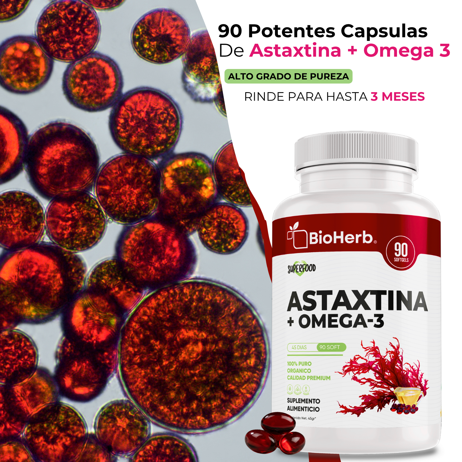 BioHerb® Omega 3 con Astaxantina