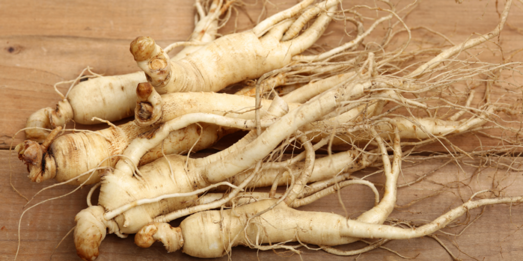 Beneficios del Ginseng para la Salud