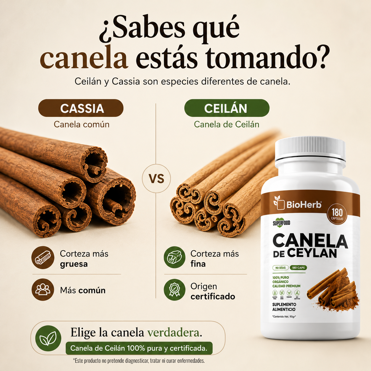 BioHerb® Canela de Ceylán | Eficaz Soporte Metabólico y Azúcar