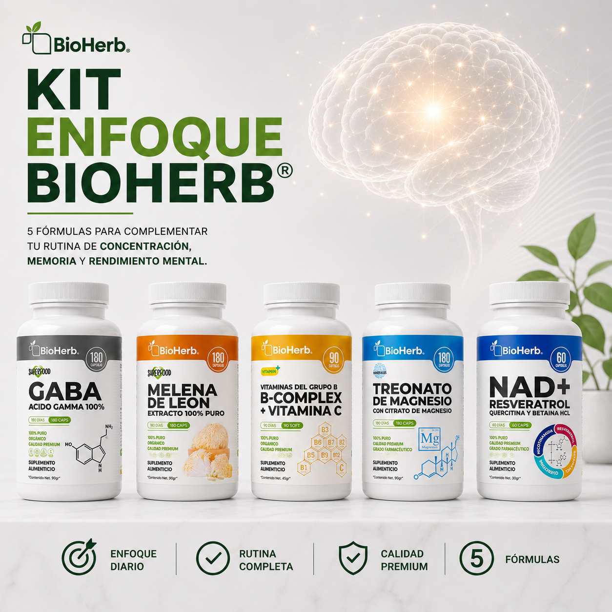 Kit Enfoque BioHerb® | Claridad Mental, Concentración y Productividad