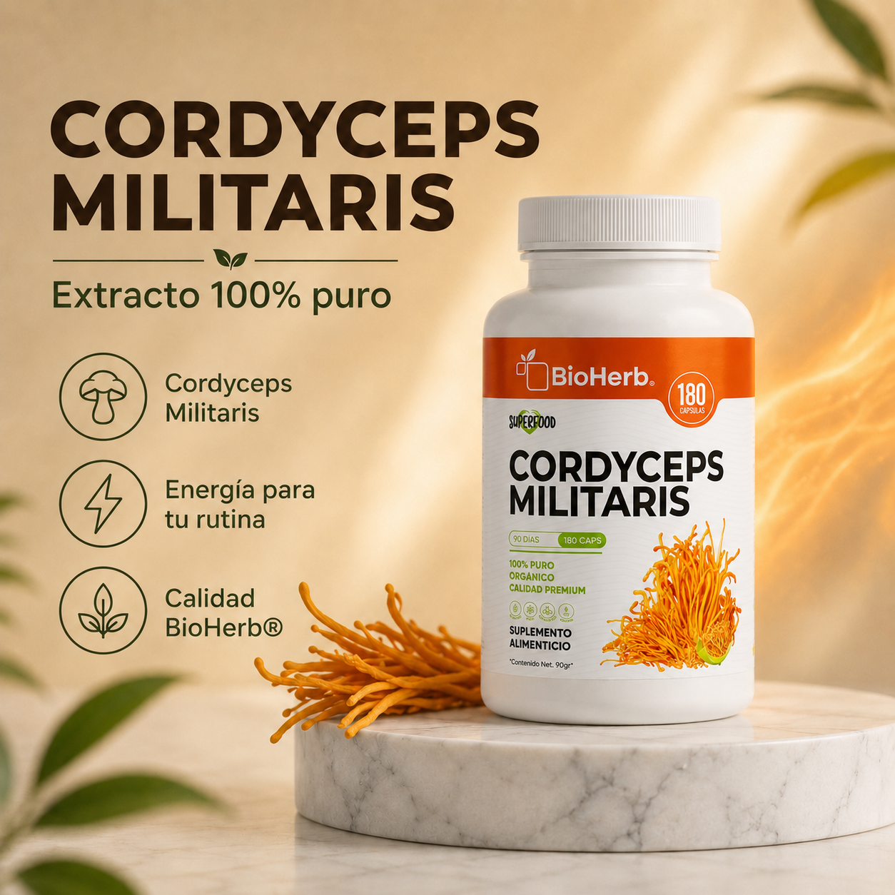 Kit Energía BioHerb® | Vitalidad, Enfoque y Rendimiento Diario