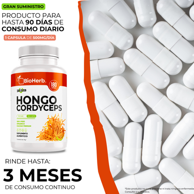 BioHerb® Cordyceps Militaris Extracto 100% Puro