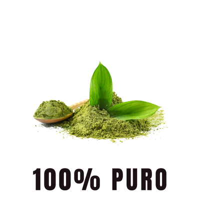 BioHerb® Matcha Orgánico