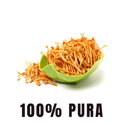 BioHerb® Cordyceps Militaris