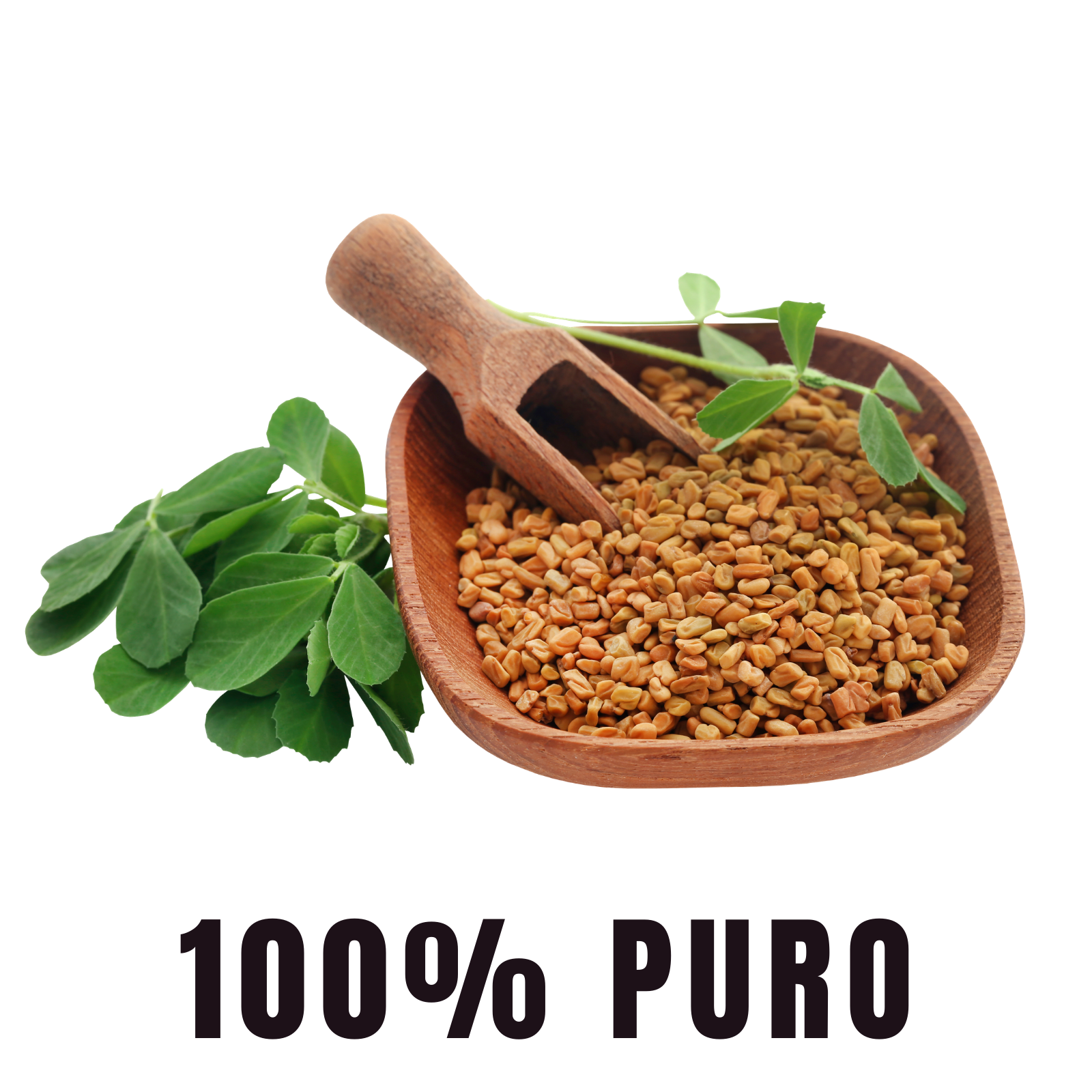 BioHerb® Fenogreco Orgánico