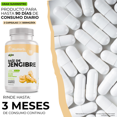 BioHerb® Extracto de Jengibre
