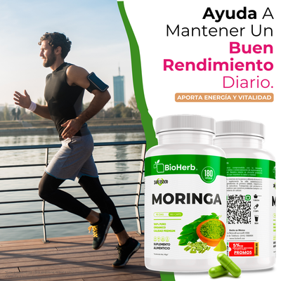 BioHerb® Moringa Orgánica