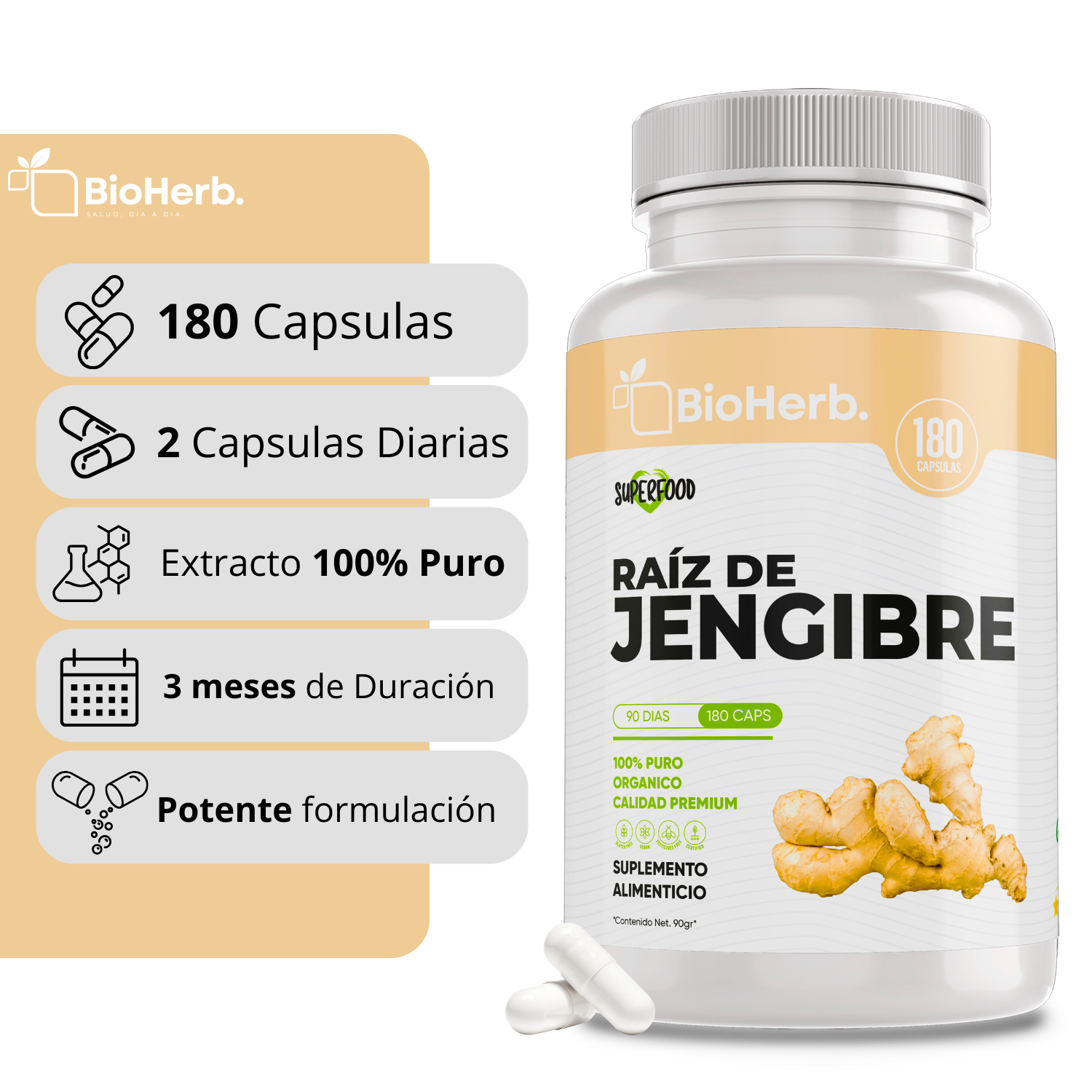 BioHerb® Extracto de Jengibre