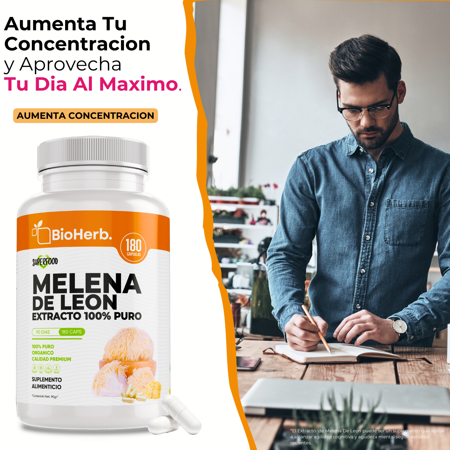 BioHerb® Melena de León