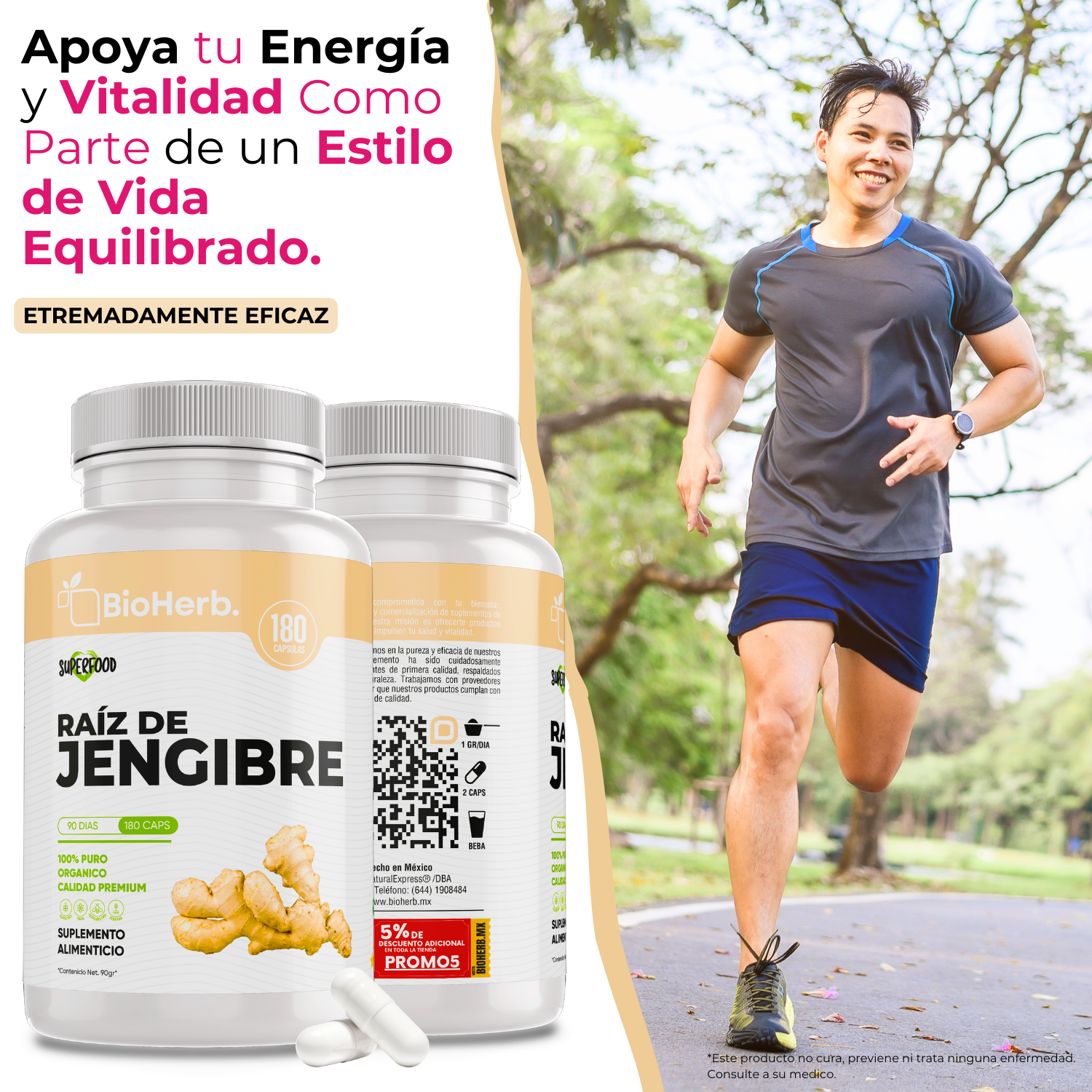 BioHerb® Extracto de Jengibre